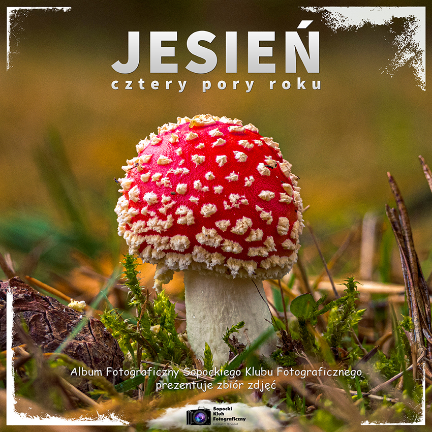 Jesień • Cztery Porty Roku