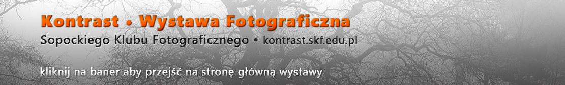 kontrast exhibition redirect banner