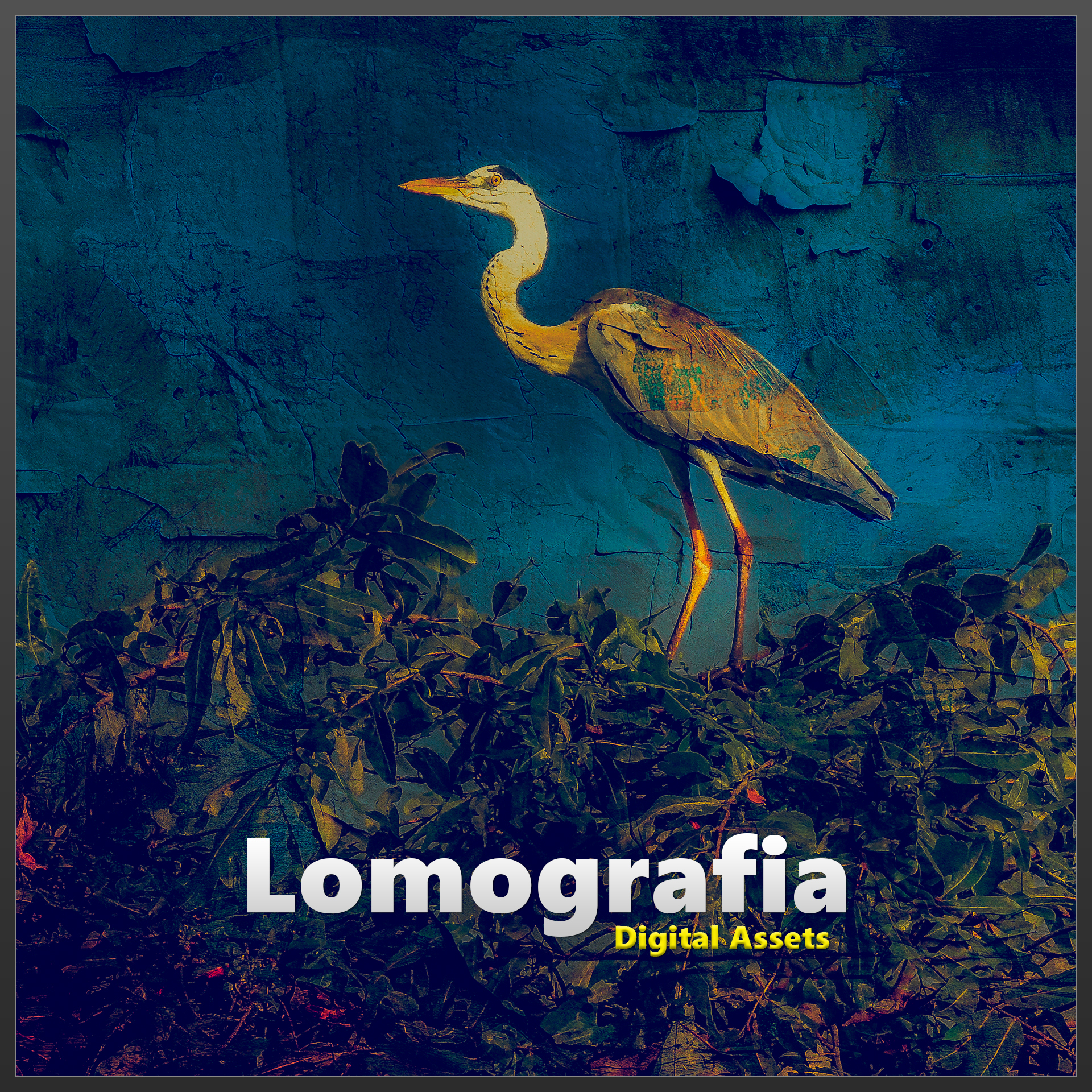 Lomografia • Digital Assets